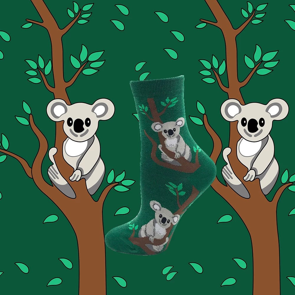 chaussettes koala mrcol