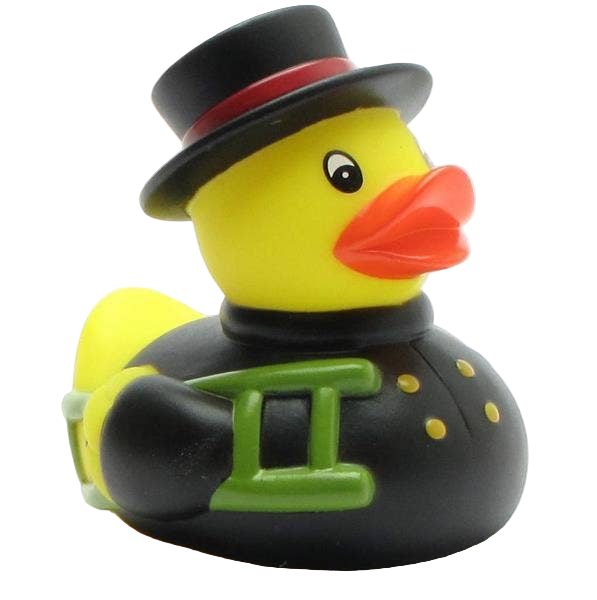 Canard Ramoneur