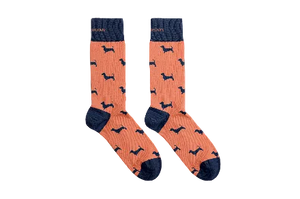 Dachshund Socks
