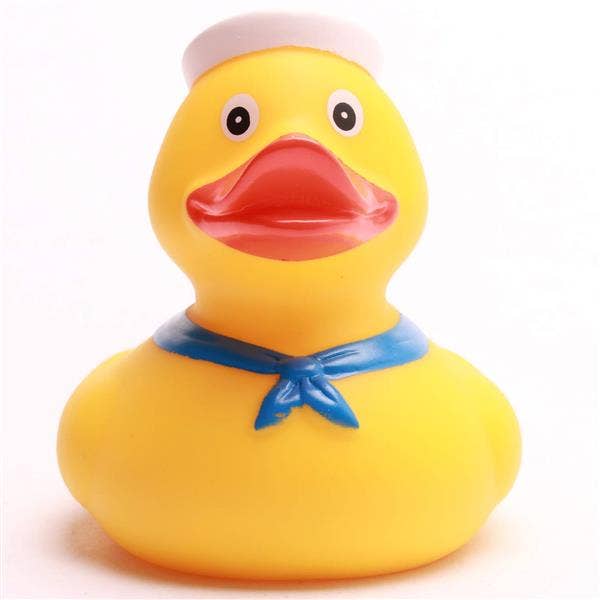 Sea Duck