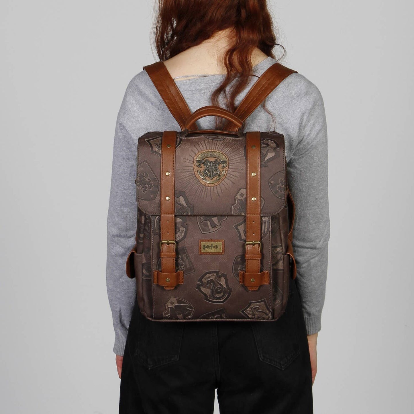 Harry Potter Pride Tale Backpack