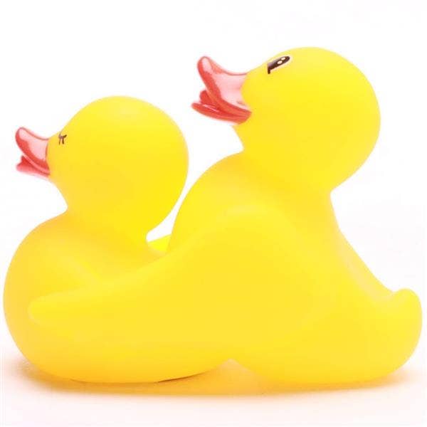 Canards Coquins