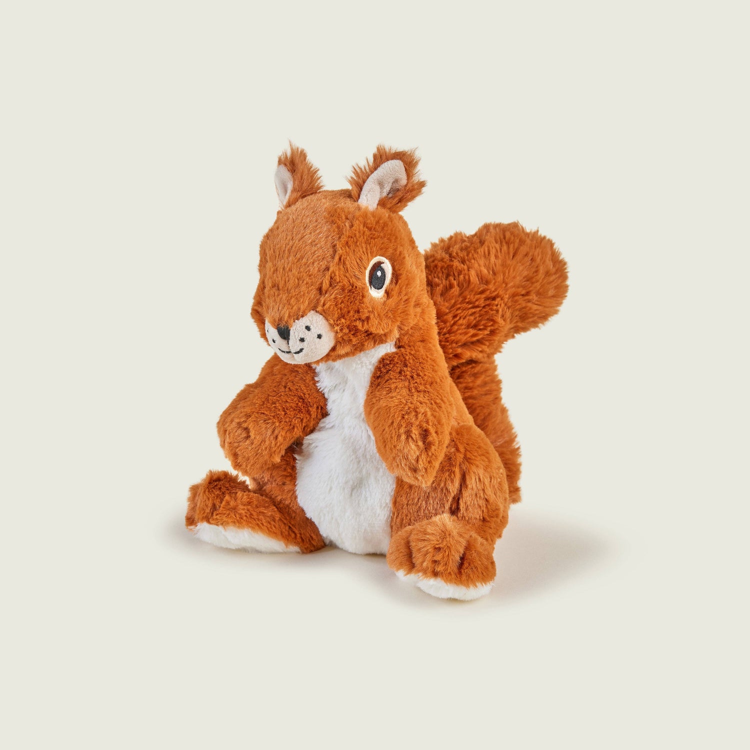Écureuils 🐿