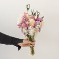 Bouquet de fleurs séchées Pillar