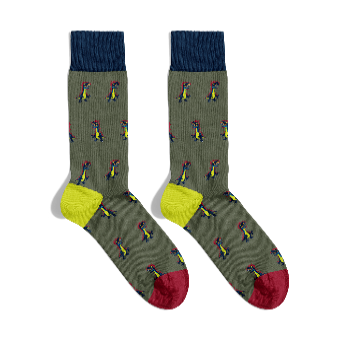 Chaussettes Dinosaures - Kaki