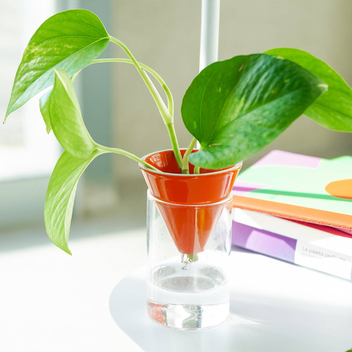 Orange Cone Hydroponic Vase