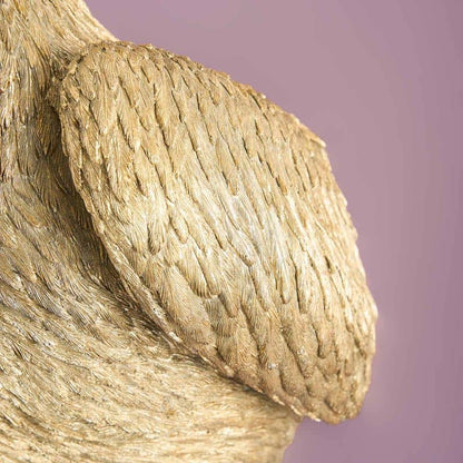 Pelican wall light (Pelikanus or)