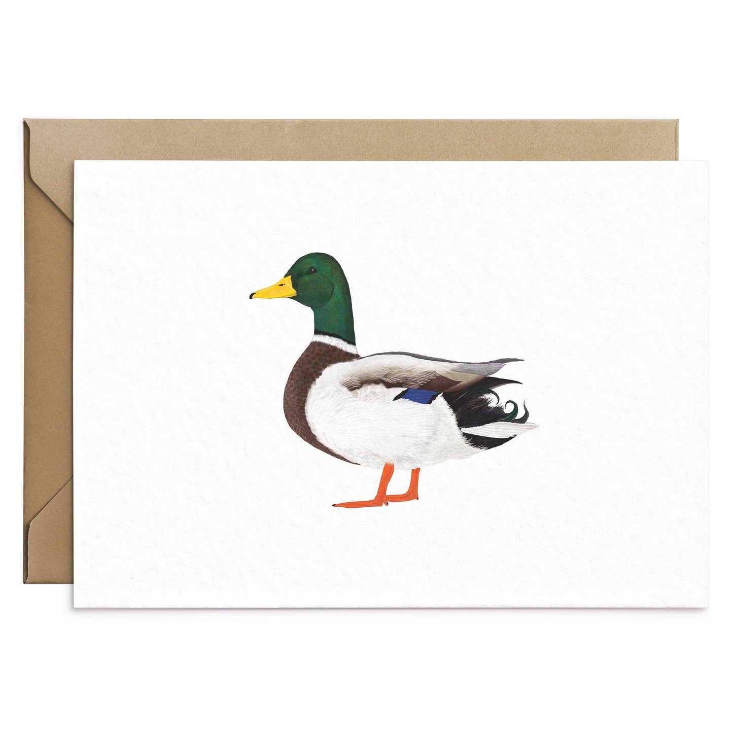 Wenskaart met de tekst "Mallard Duck"