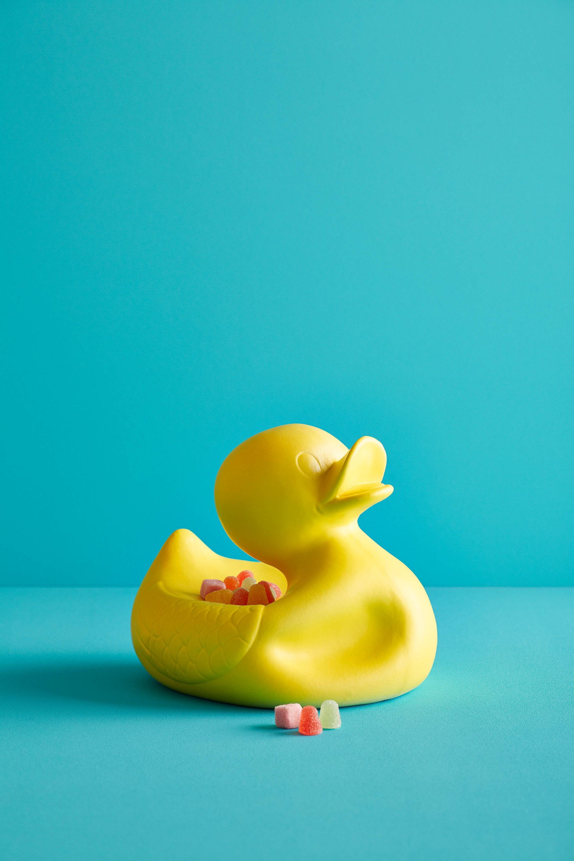 M. Ugly Duckling Jaune – Jasmin Djerzic – Jaune – vue 16