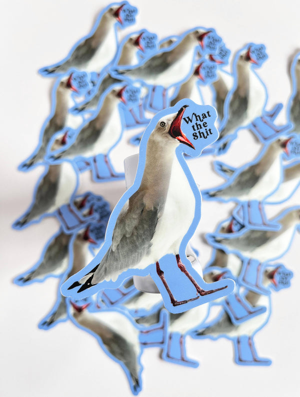 "What the Shit" Seagull Sticker