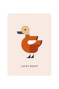 Carte Postale avec Ruddy Shelduck