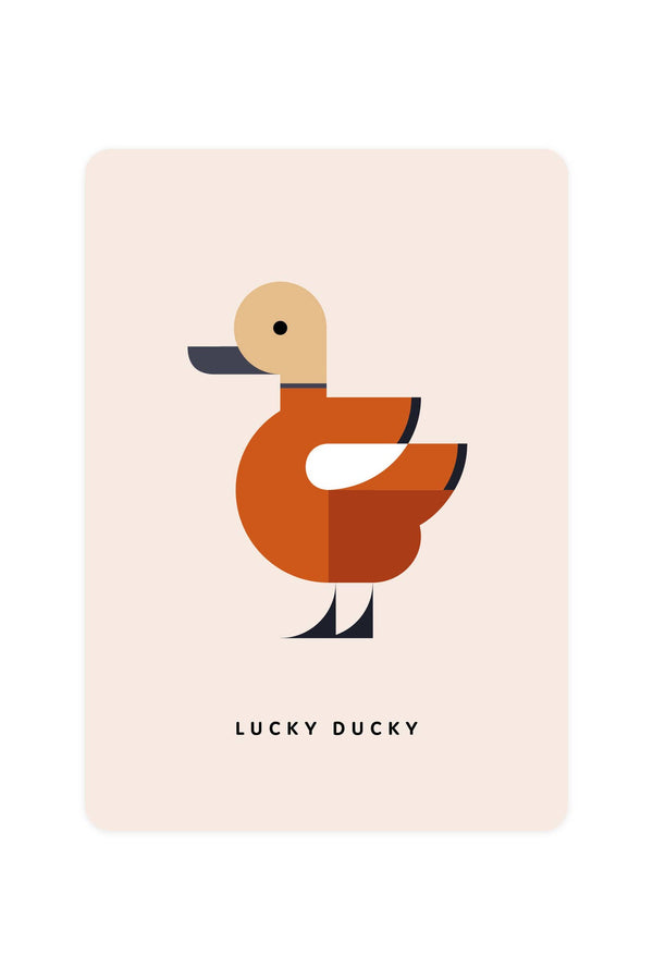 Postcard with Ruddy Shelduck