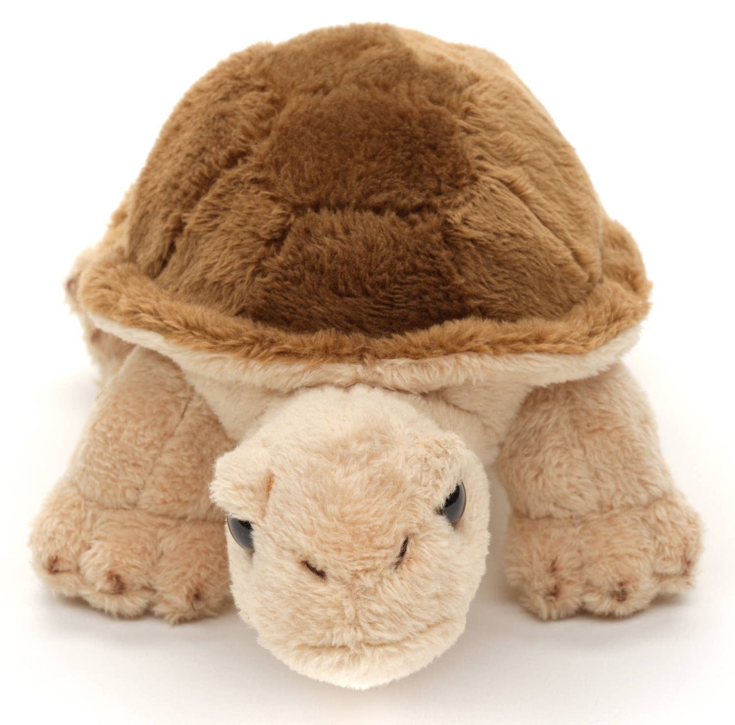Peluche Tortue