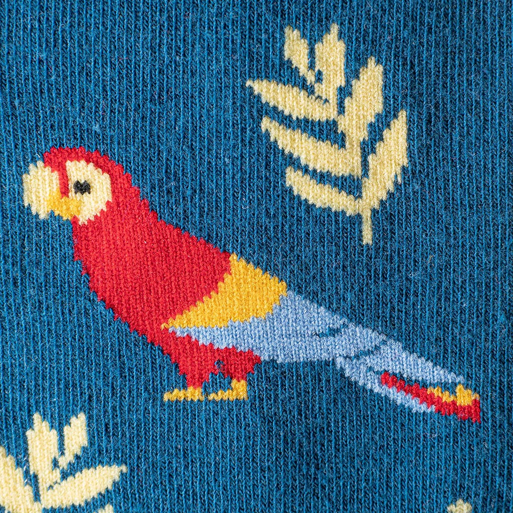 "LOROS" Parrot Socks
