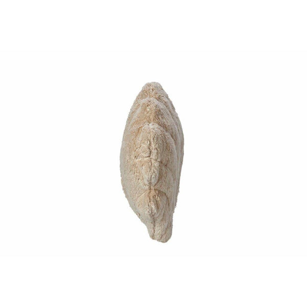 Large Seashell Heating Pad