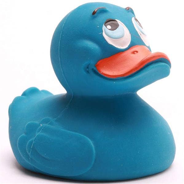 Classic Blue Duck
