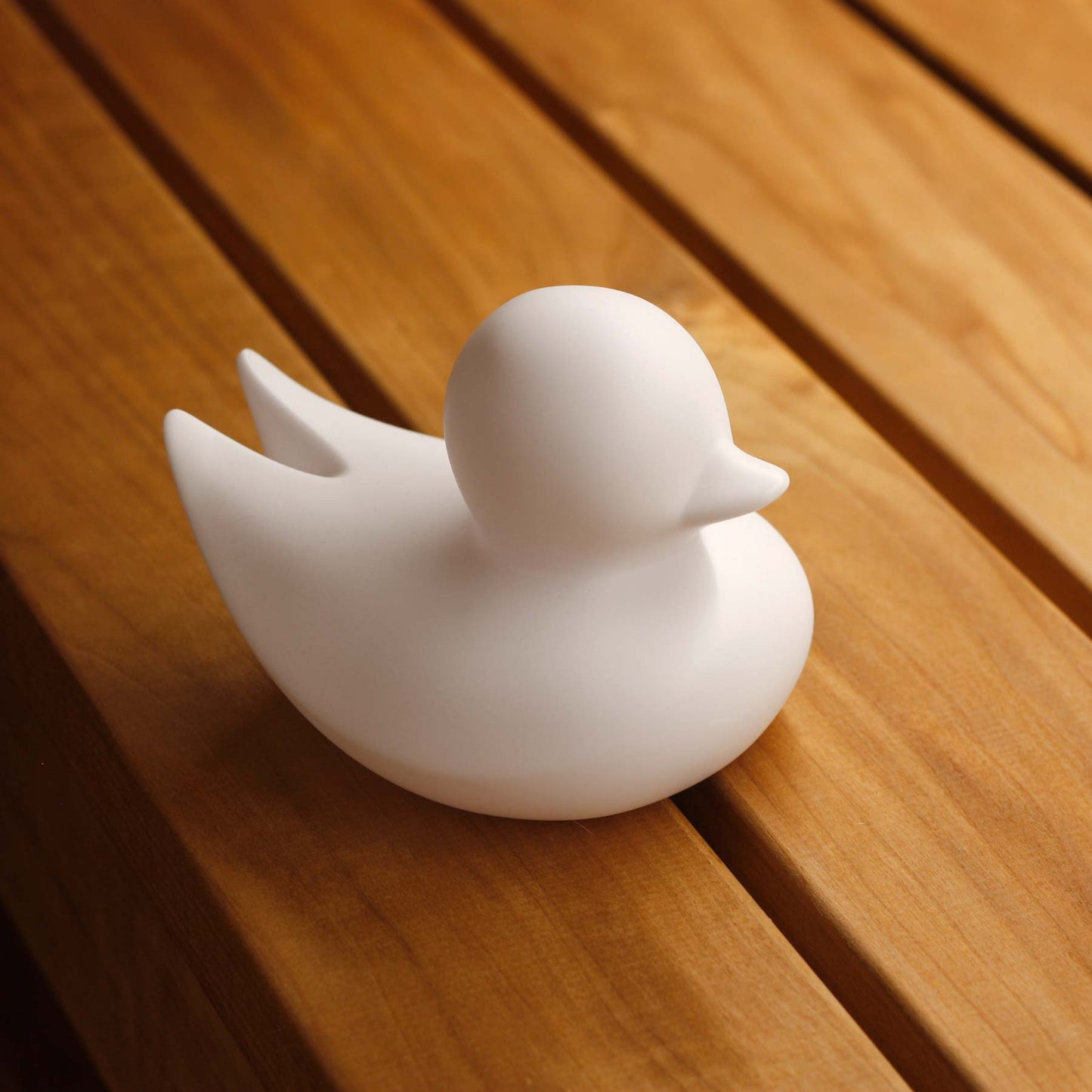 Minimalist Duck