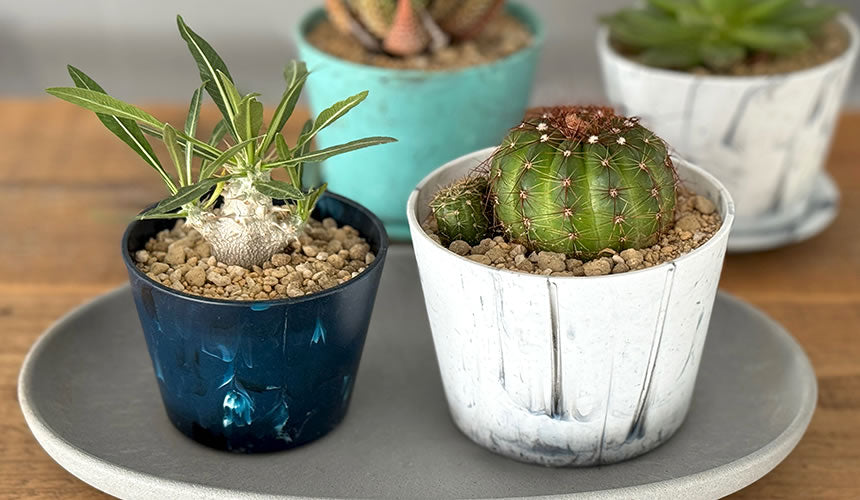 Pot Marble Garden 95