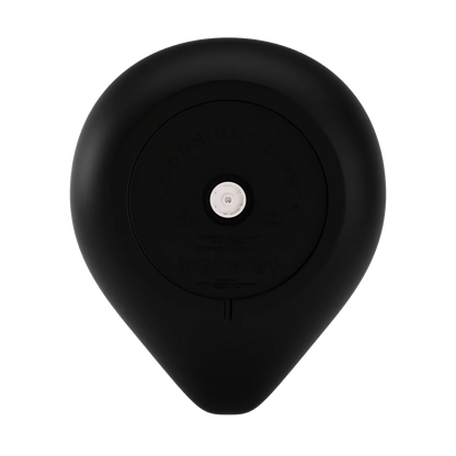 Eendenlamp "De MEGA Eend-Eend" (Deco)