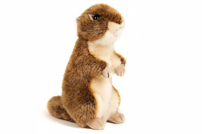 Peluche Ecureuil terrestre, debout