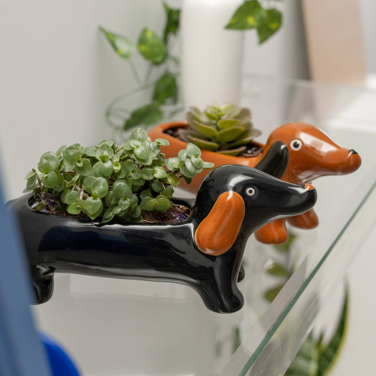 Black Dachshund Flower Pot