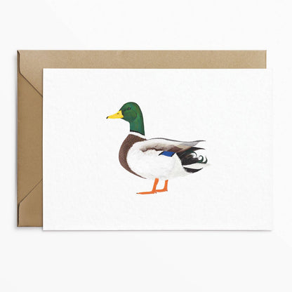 Wenskaart met de tekst "Mallard Duck"