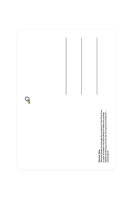 Carte postale avec Sarcelle de Sibérie