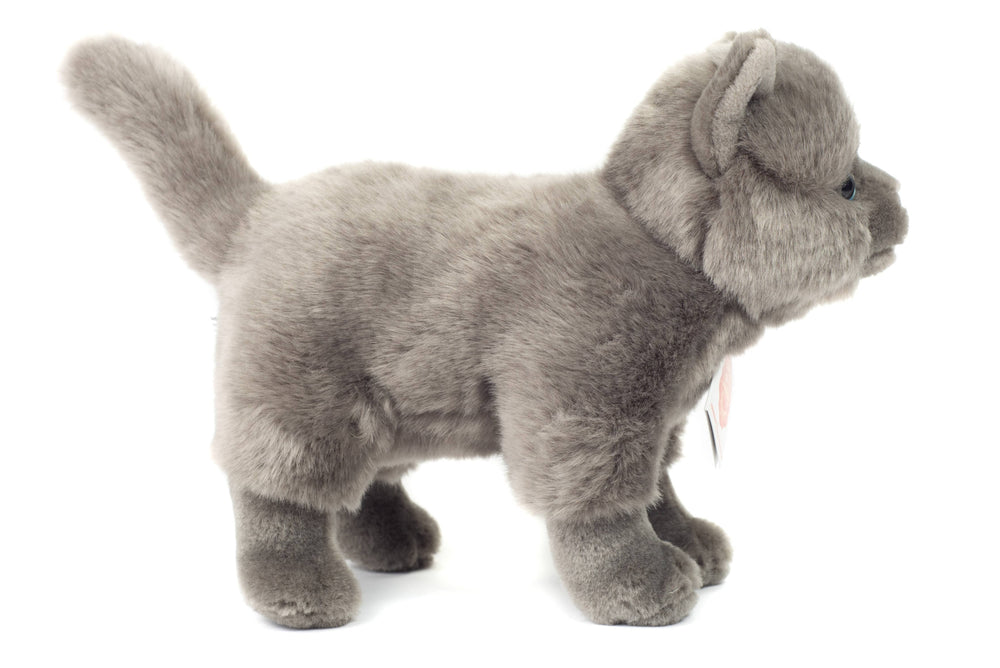 Peluche Chat Chartreux Debout
