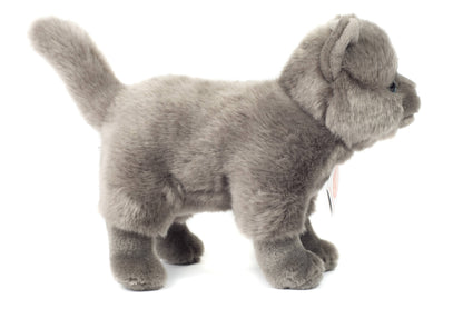 Staande Chartreux kattenknuffel