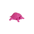 Turtle Box - Neonroze