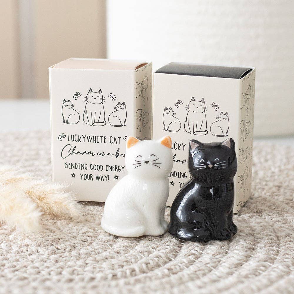 Lucky charms: black and white cats