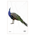 Peacock Dishcloth