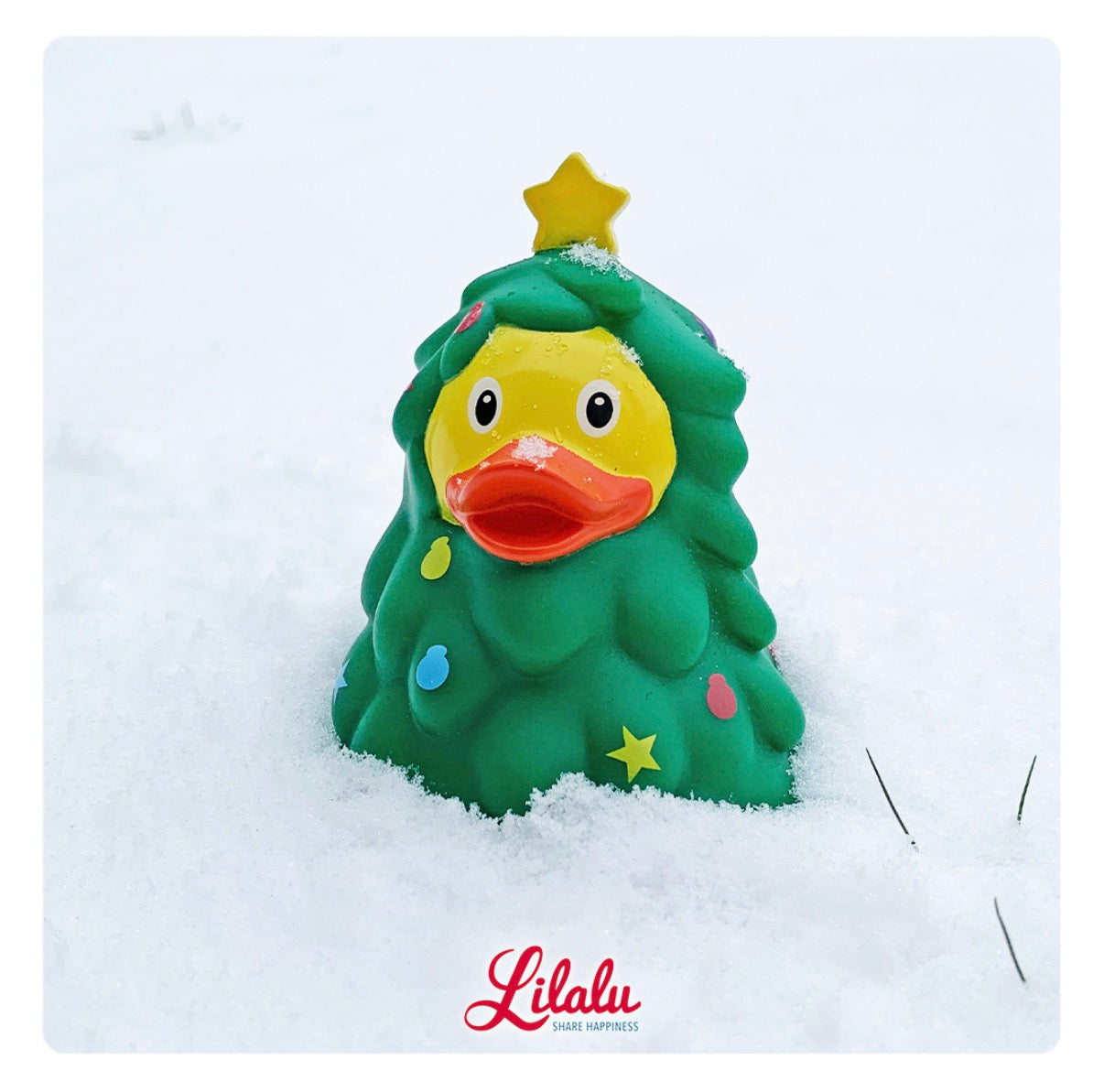 Canard Sapin de Noël – visuel produit