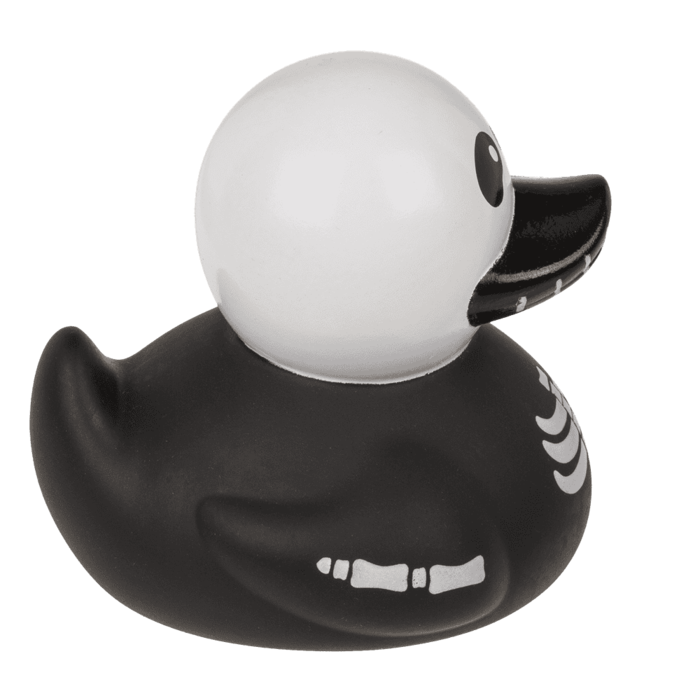 Skeleton Duck