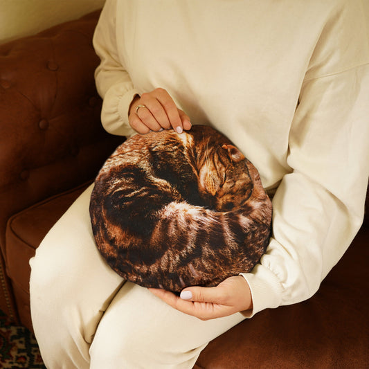Bouillotte chat