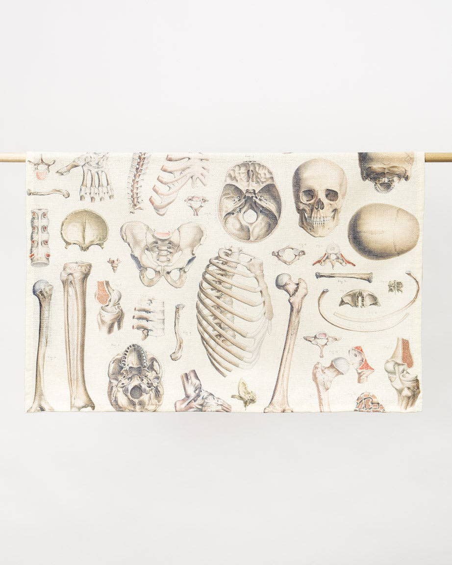 Torchon Osteology