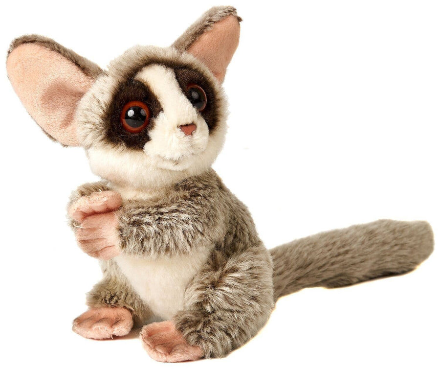 Galago