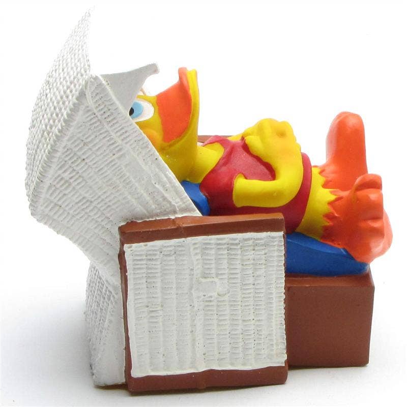 Duck Beach Chair