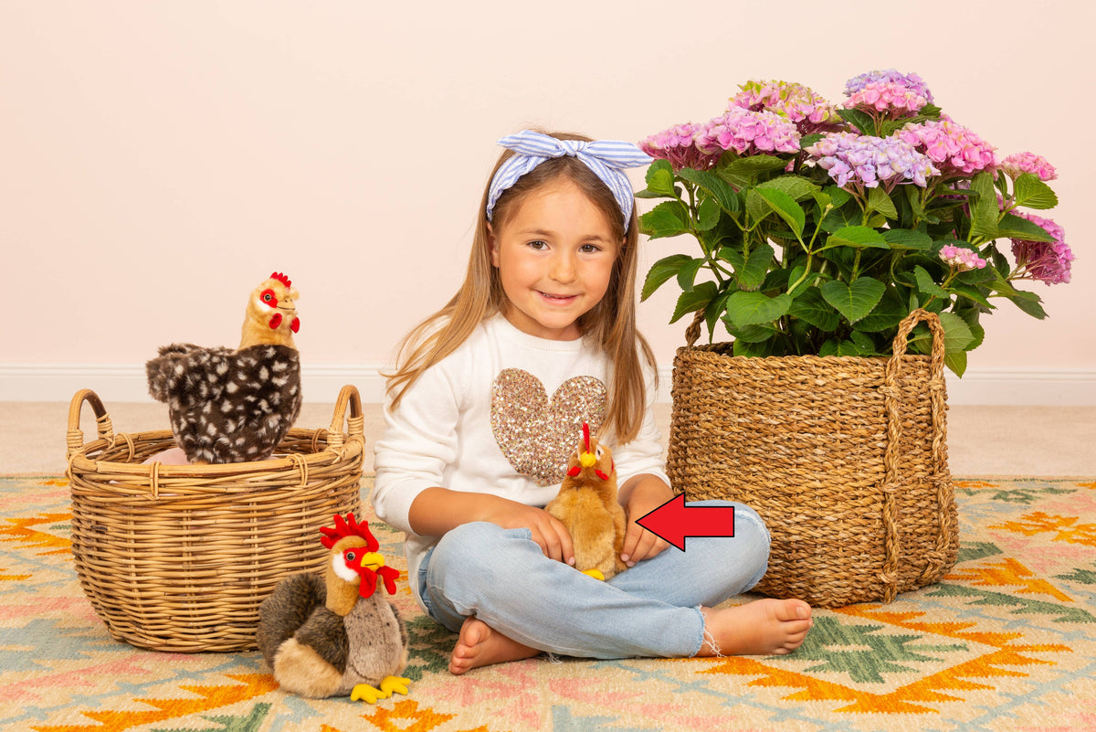 Brown Hen Plush Toy