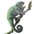 Marionnette à Main Caméléon