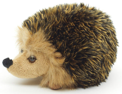 Hedgehog Plush Toy