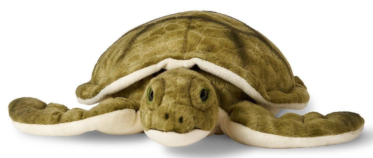 Green sea turtle plush toy