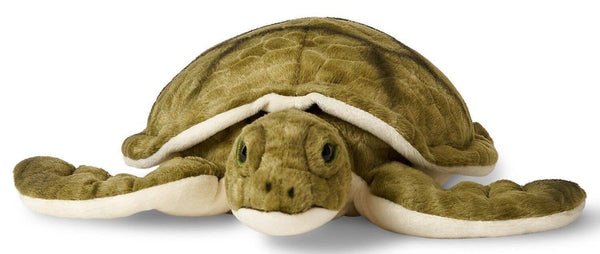 Peluche Tortue de mer verte Uni Toys