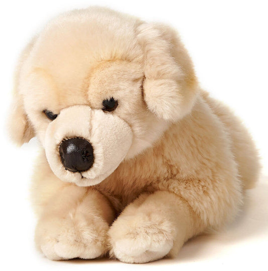 Peluche golden retriever couché Uni Toys