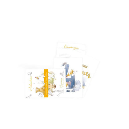 Cartes jalons (16 pcs)