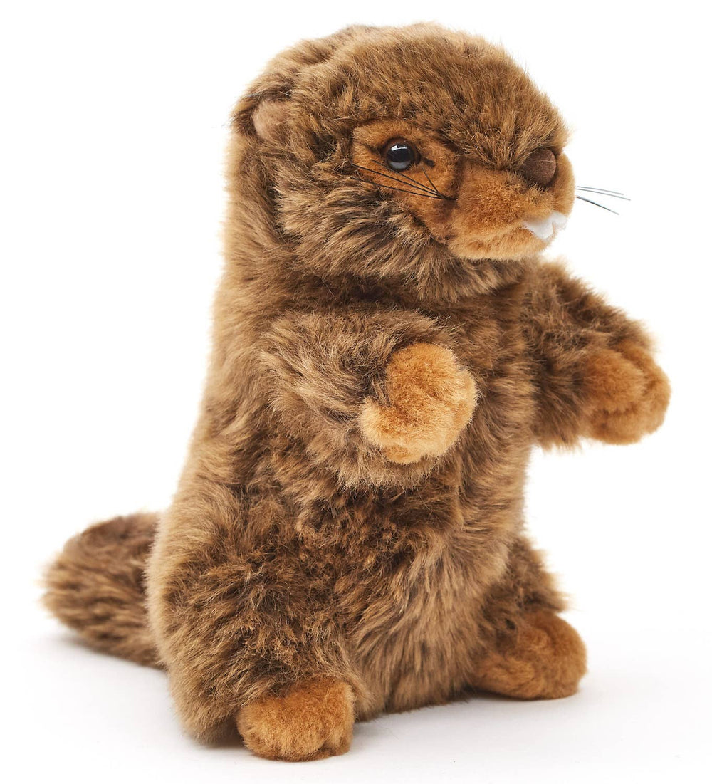 Peluche Marmotte sans Voix Debout