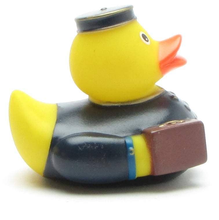 Mini Groom Duck Blue