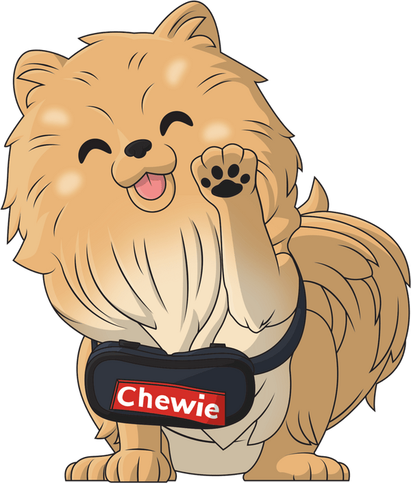 Chewie the Pomeranian