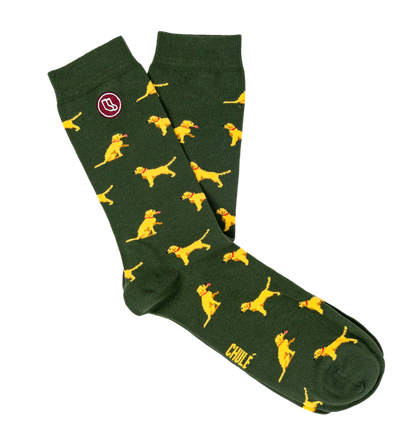 Chaussettes « Sancho » – Chien - Chulé
