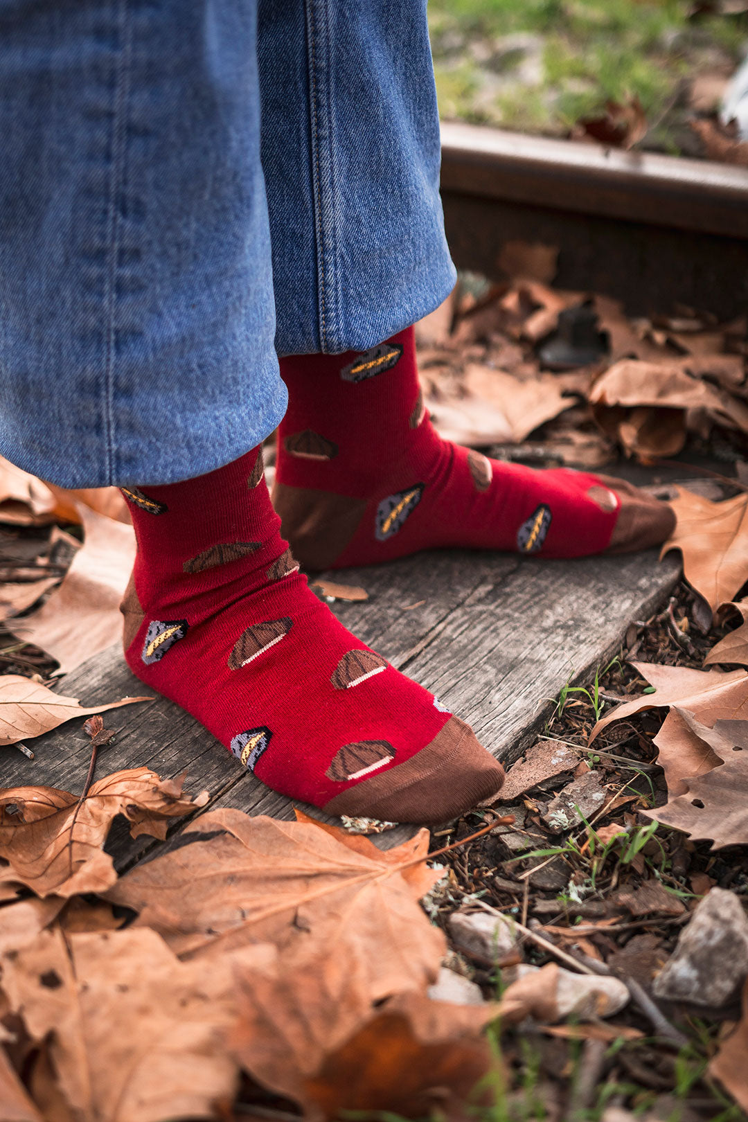 Chaussettes « Châtaignes » - Chulé